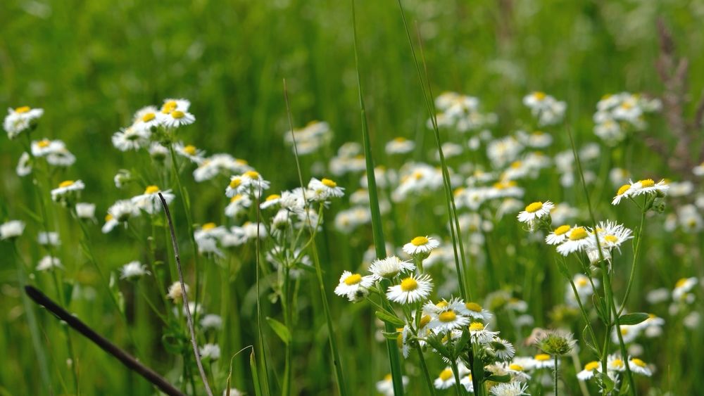 Photograph by Наталия Питолина