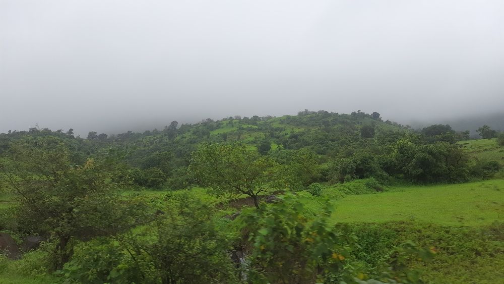 Photograph by Khushi Vashisth