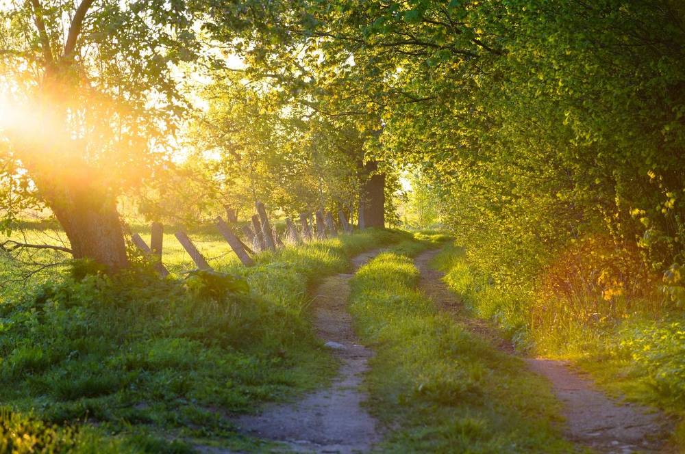 Photograph by Roman Dmitriev