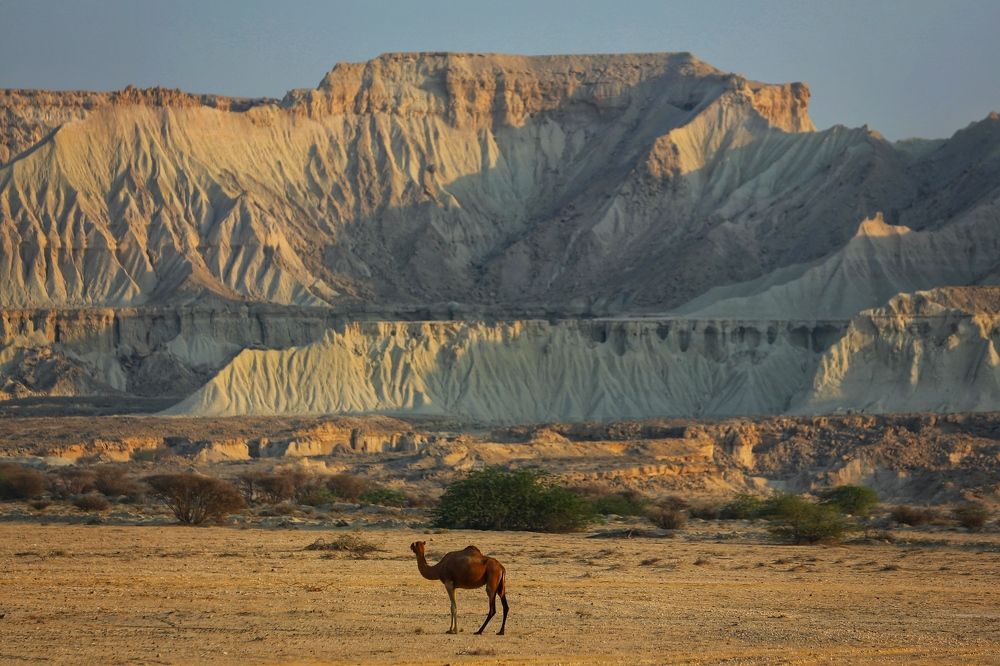 Photograph by Oksana Shchegolkova