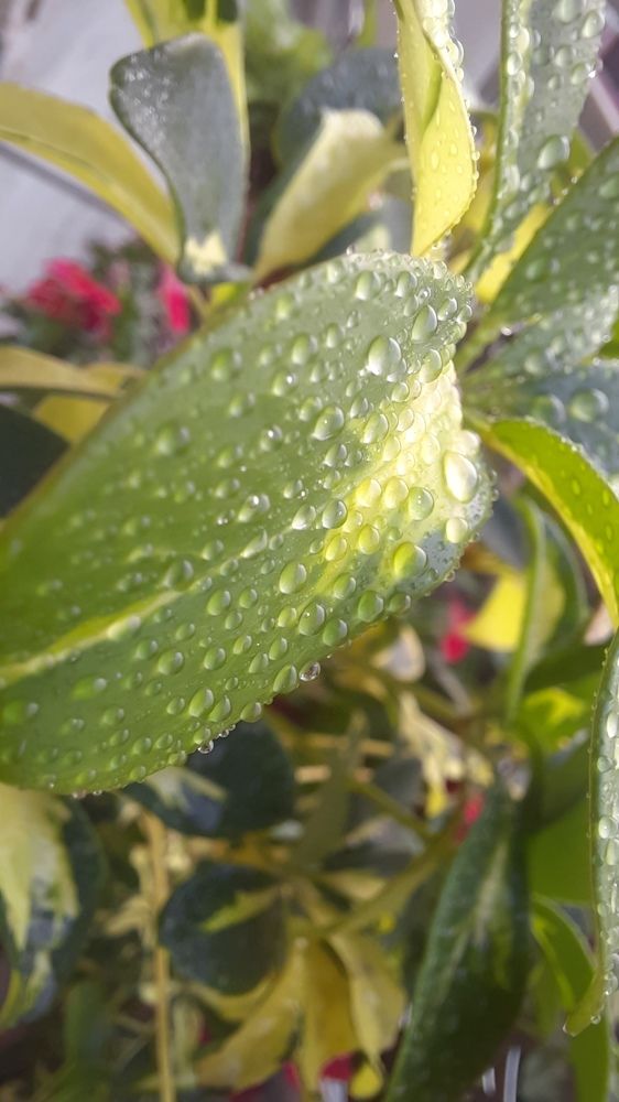 Photograph by Khushi Vashisth