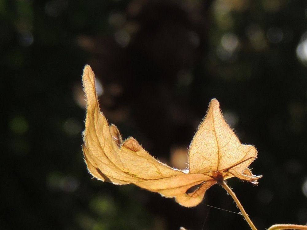 Photograph by 