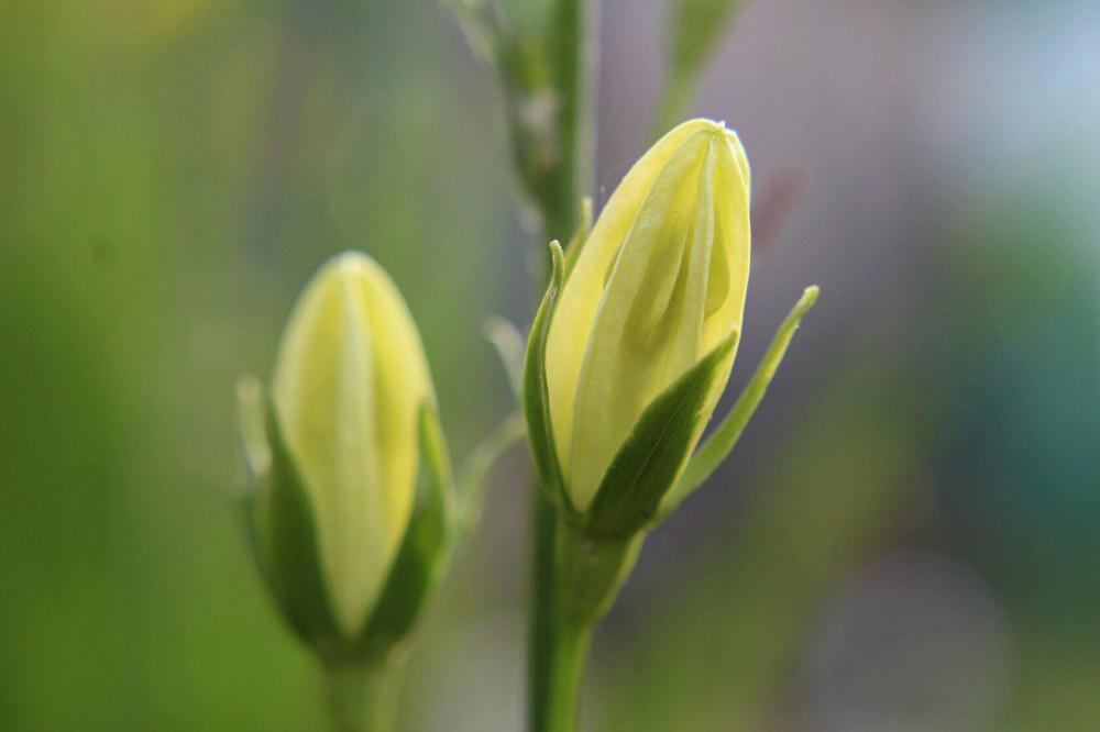 Photograph by Людмила Таерова