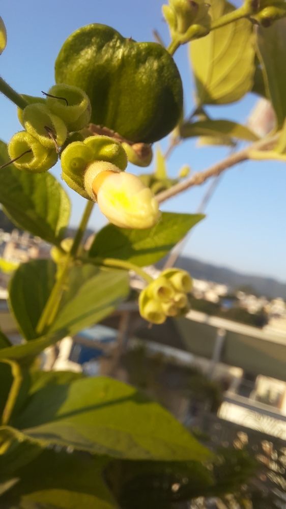 Photograph by Khushi Vashisth