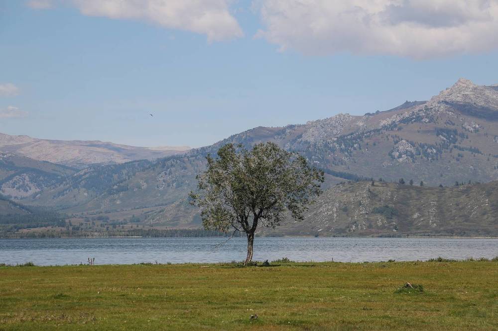 Photograph by Алексей Оборин