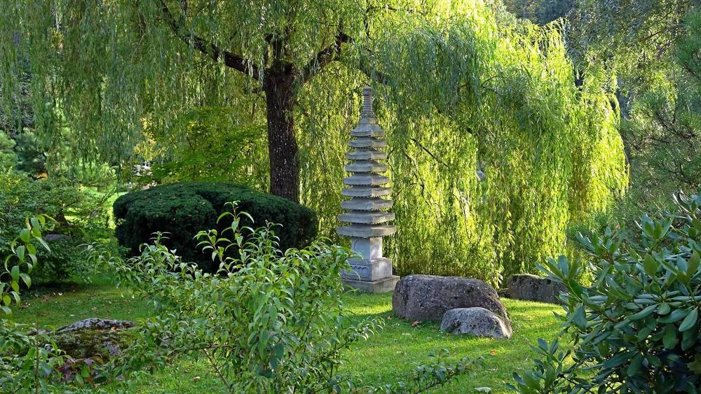 В Японском саду