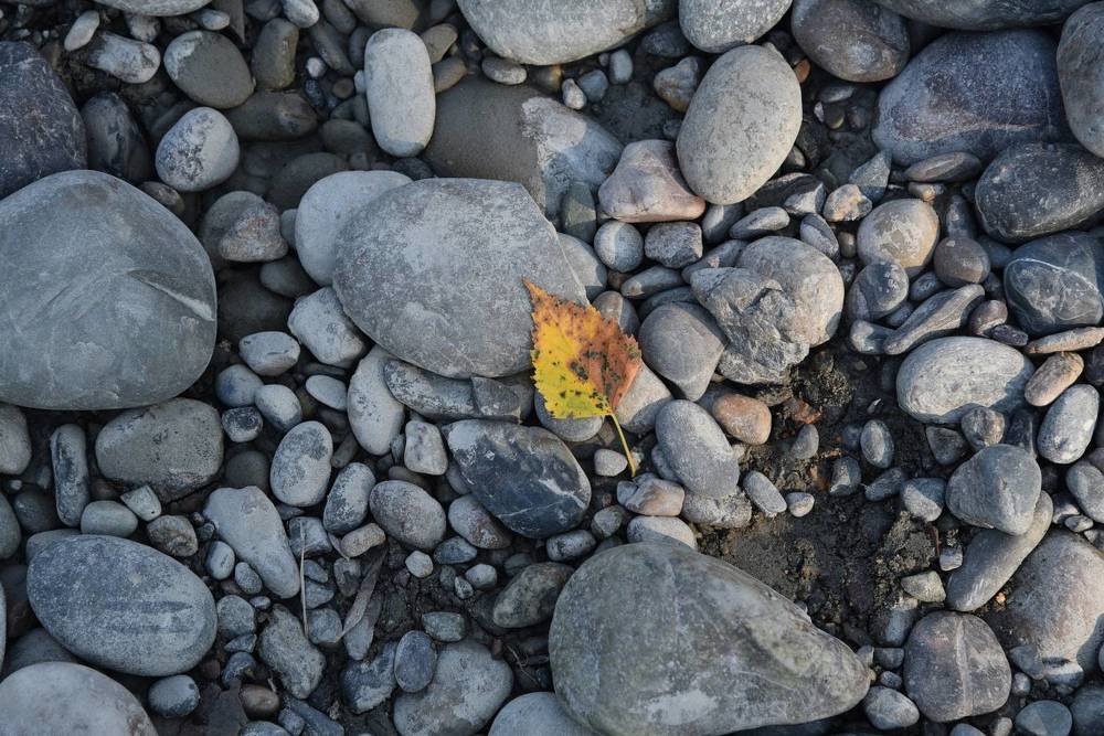 Photograph by Людмила Воропаева