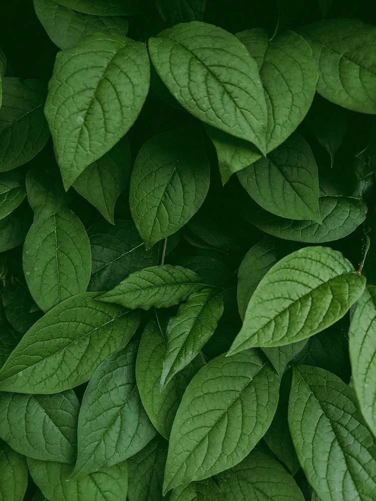 Photograph by Дарья Овсянникова