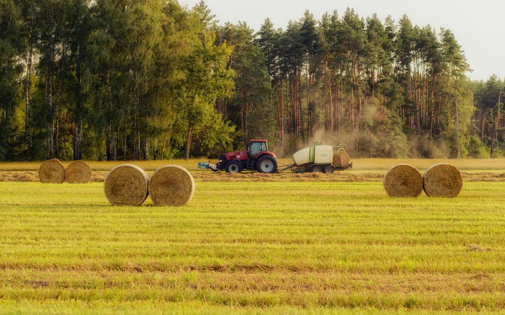 Photograph by Сергей Дишук