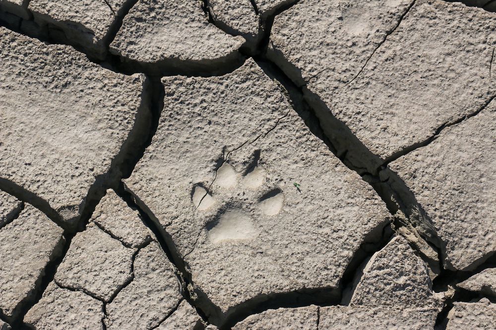 Photograph by Алексей Оборин