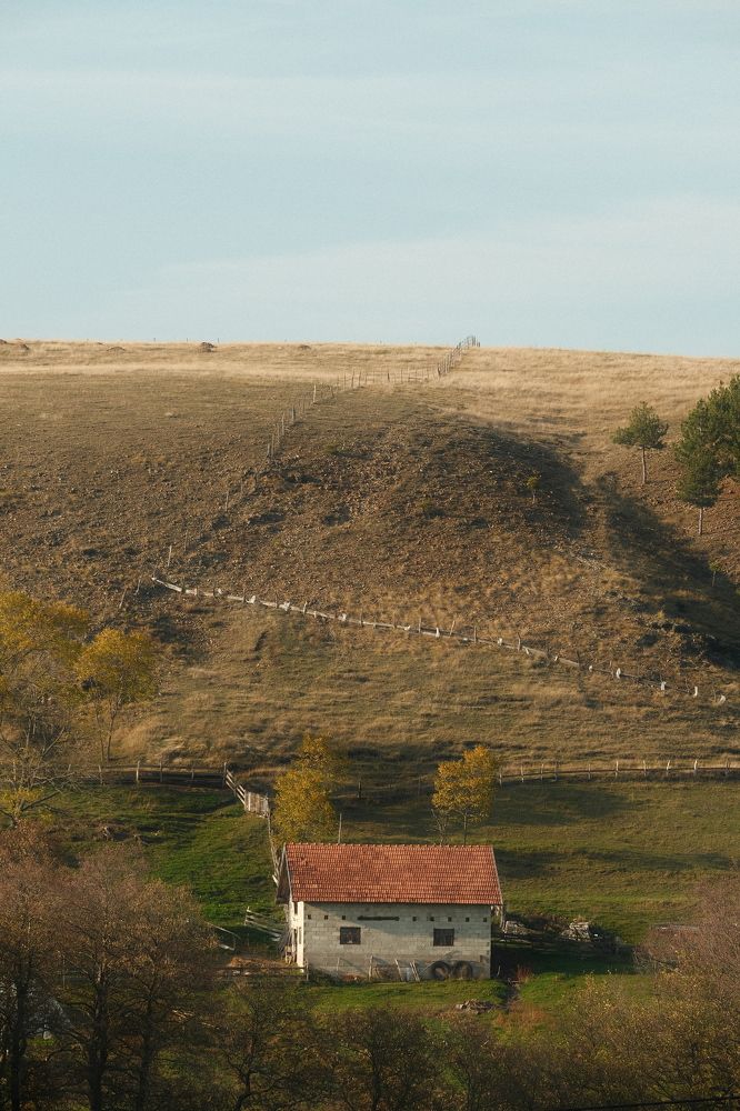 Photograph by Roman Vislobokov