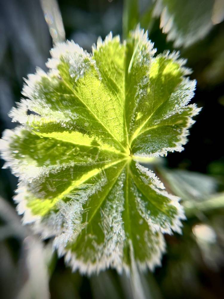 Photograph by Татьяна Михайловна