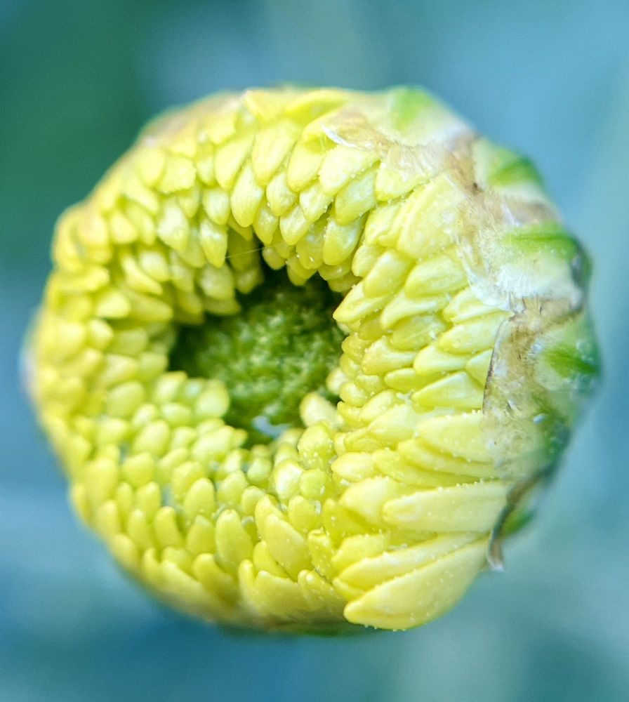 Photograph by Татьяна Михайловна