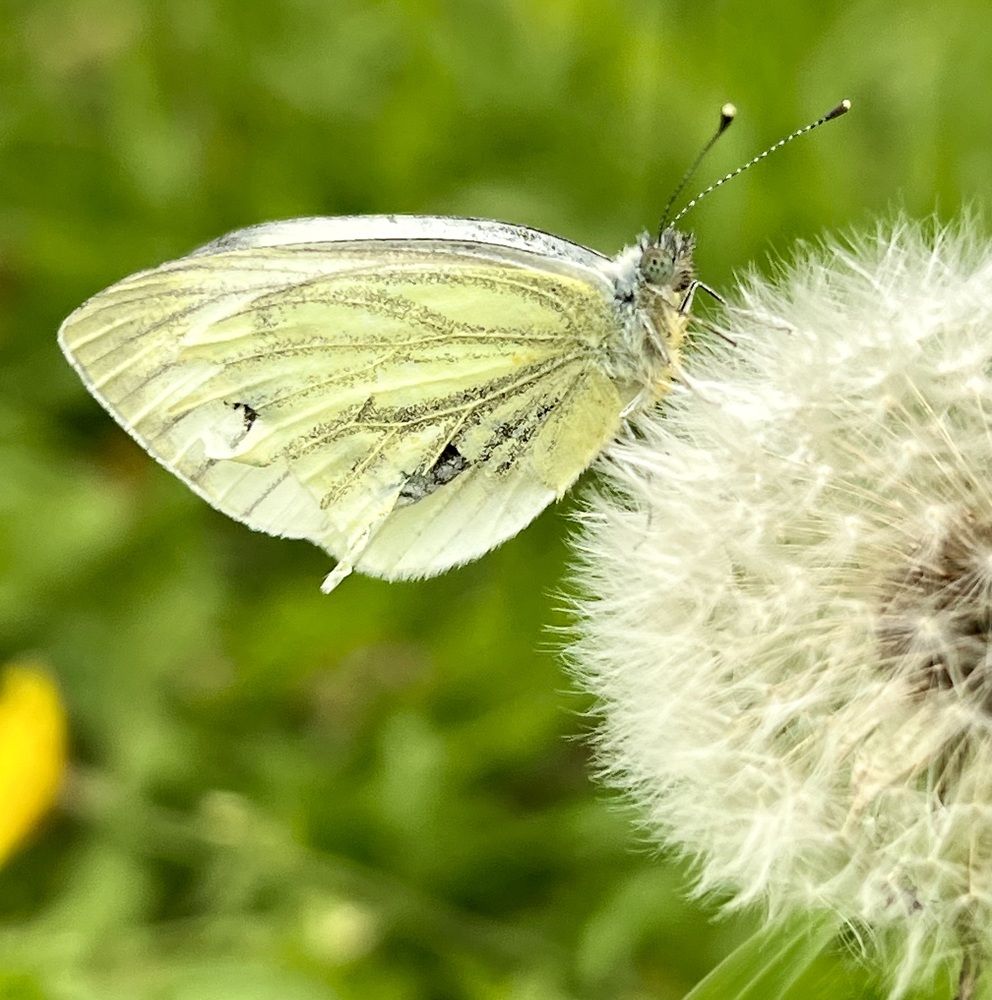 Photograph by Татьяна Михайловна
