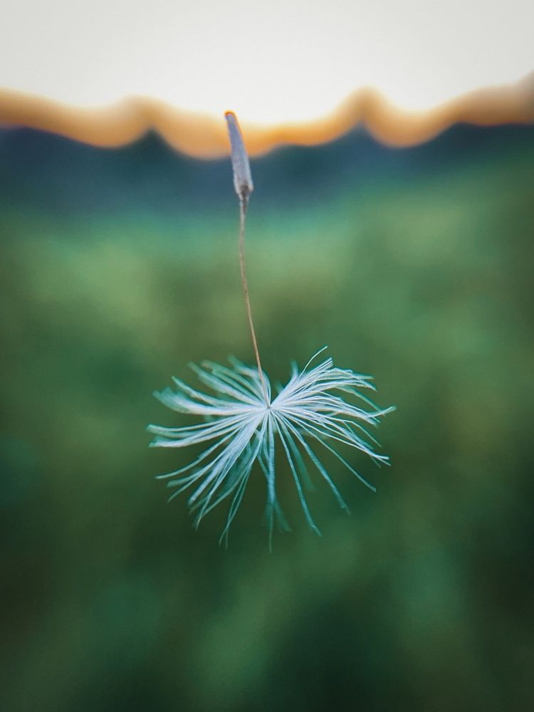 Photograph by Алена Алексеева