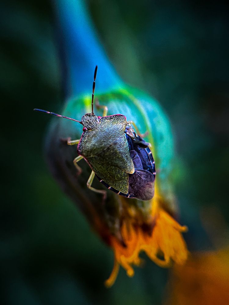 Photograph by Татьяна Михайловна