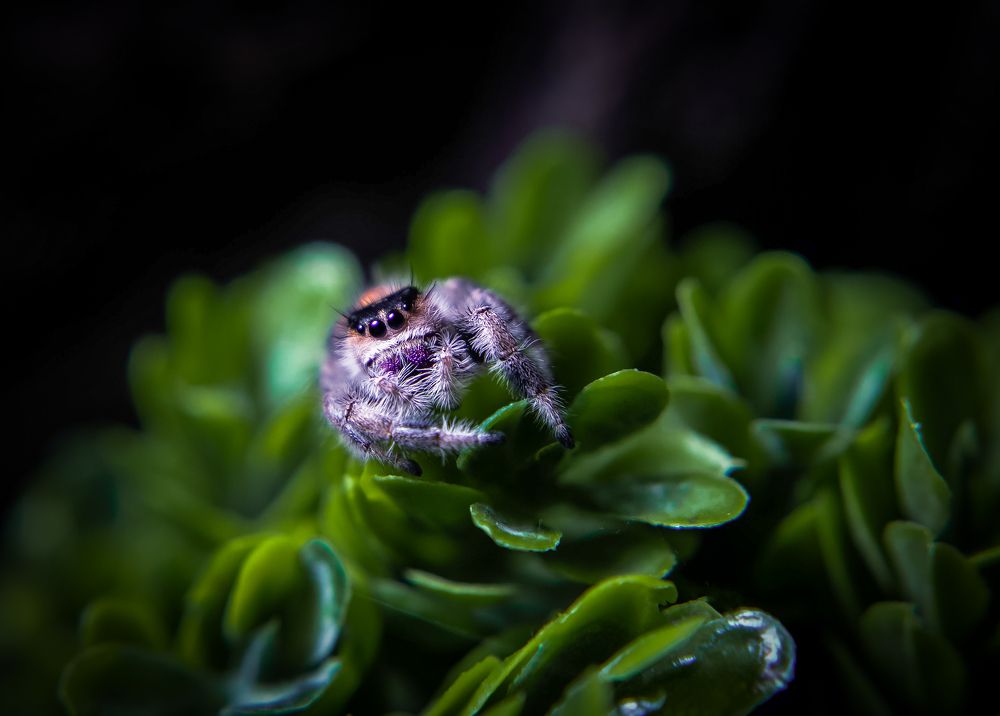 Photograph by Татьяна Тарунтаева