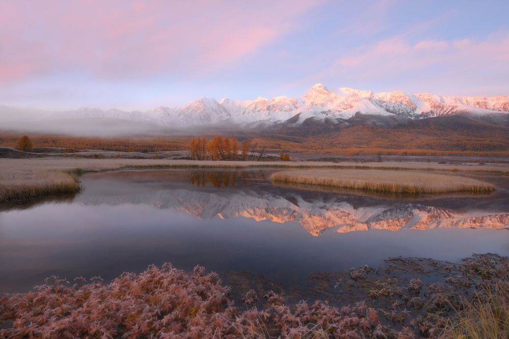 Фотография автора Максимова Ольга