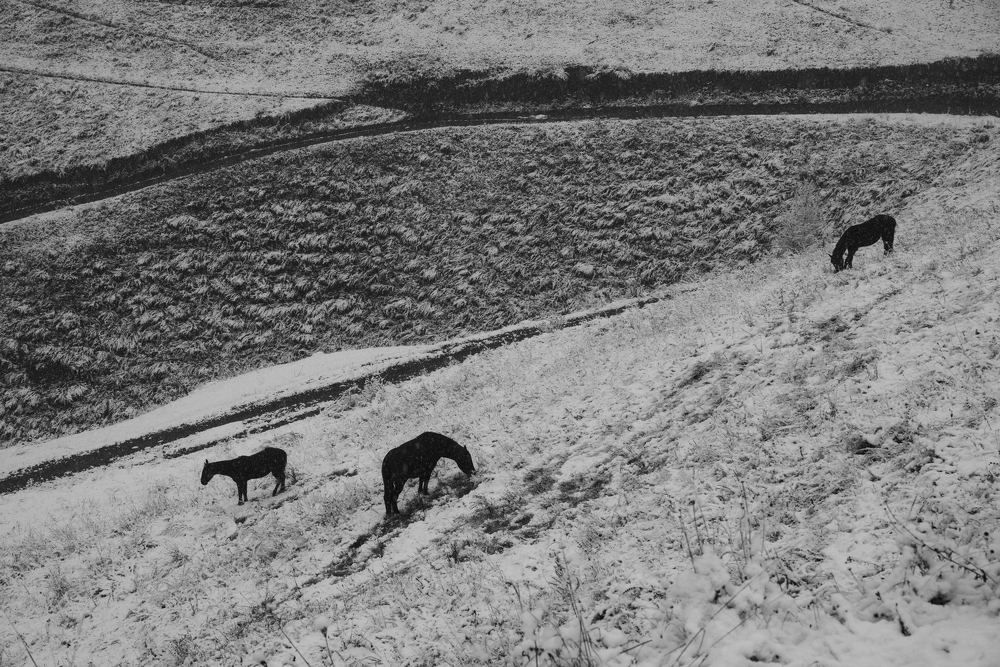 Фотография автора Марина Лукьянова