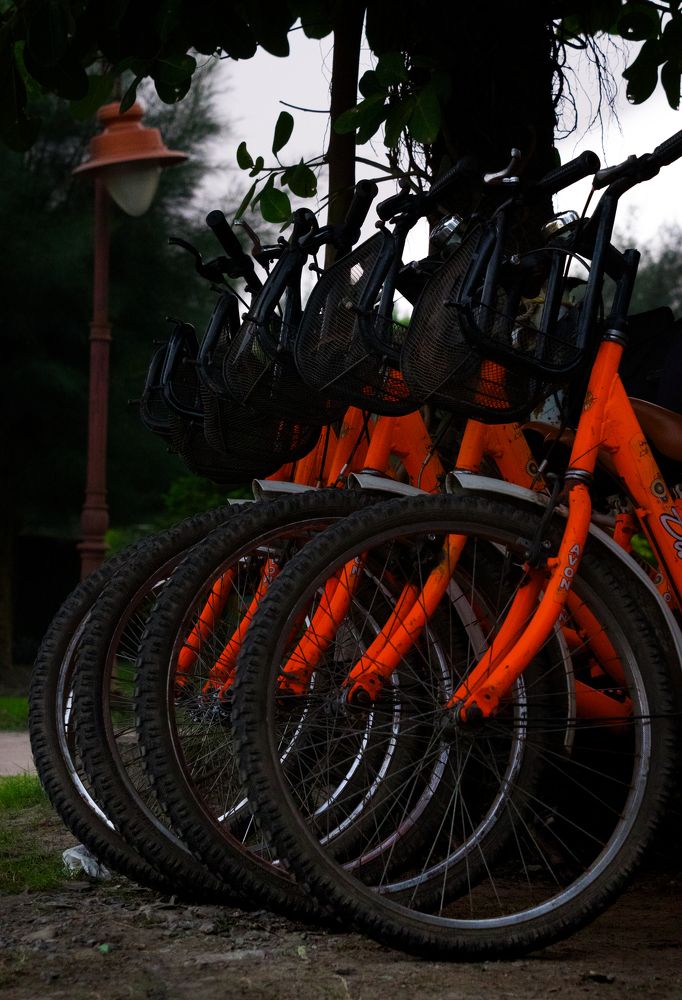 Photograph by Arindam Mullick