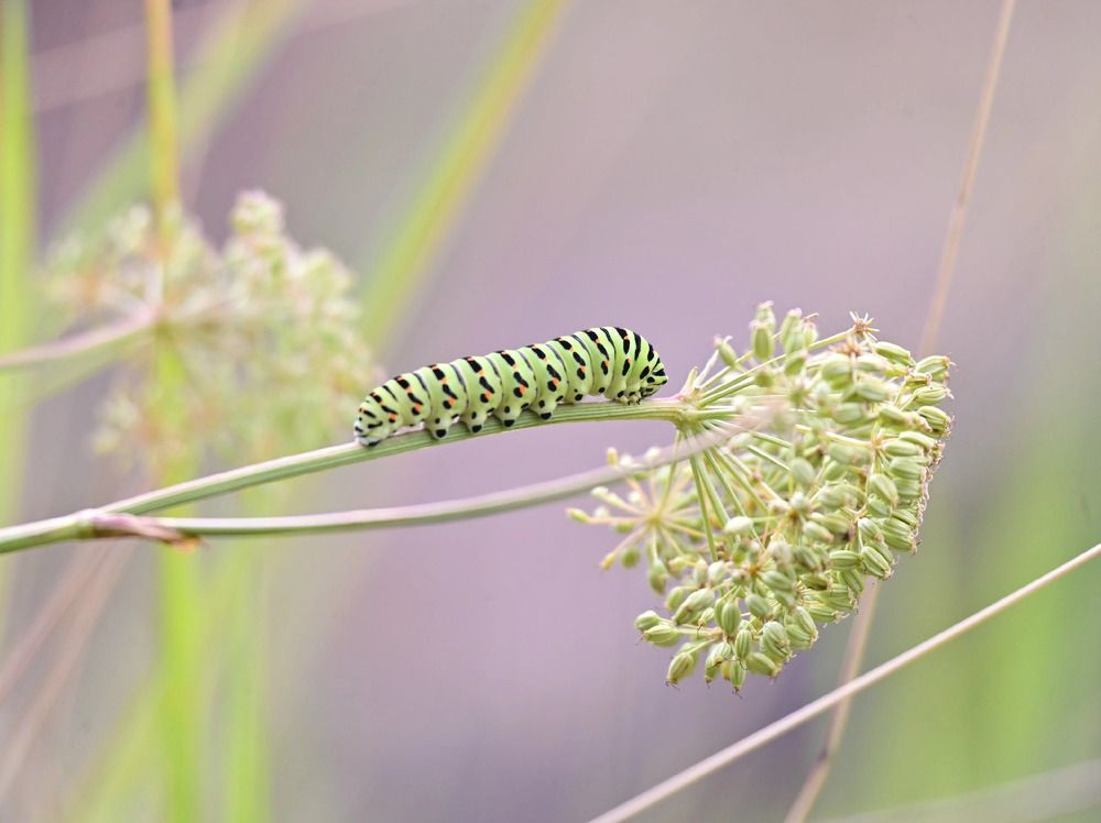 Photograph by Екатерина Попова