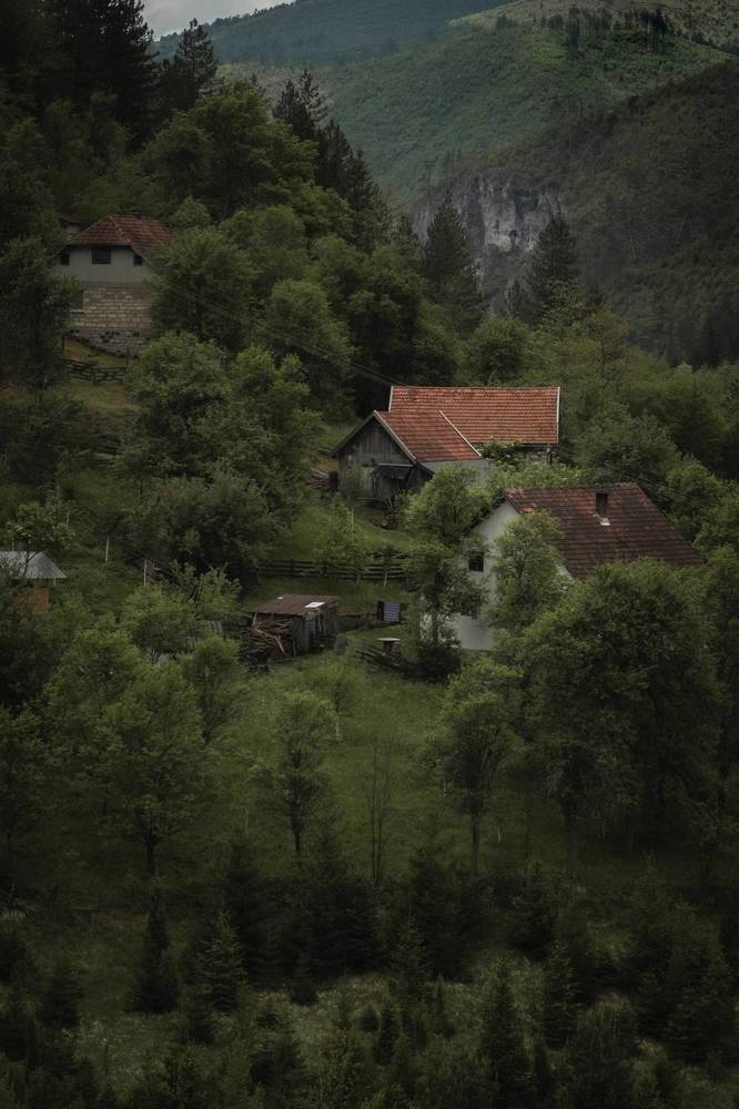 Photograph by Roman Vislobokov