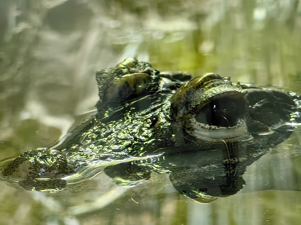 Photograph by Елена Акимова