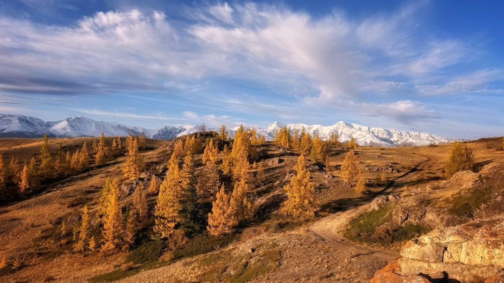 Photograph by Максимова Ольга