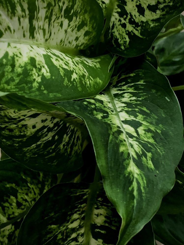 Photograph by Надежда Смирнова