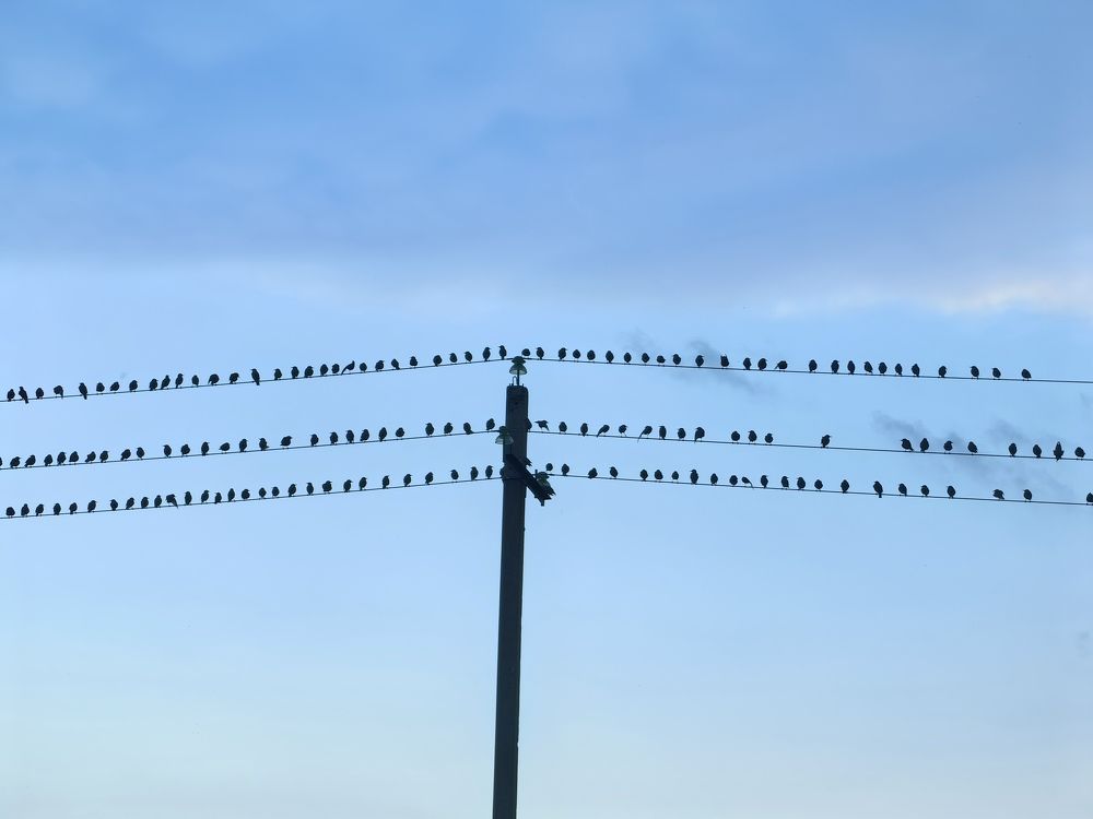 Photograph by Анастасия Доронкина