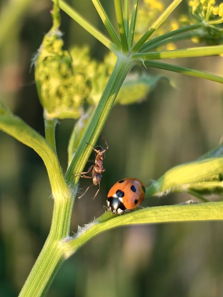 Photograph by Анастасия Доронкина