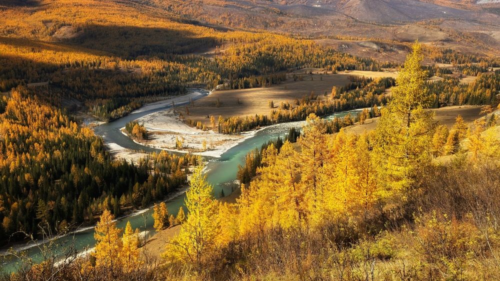 Photograph by Максимова Ольга