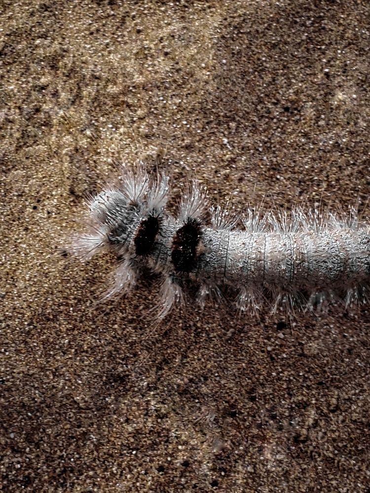 Photograph by حنان همام أحمد عبد الرحمن