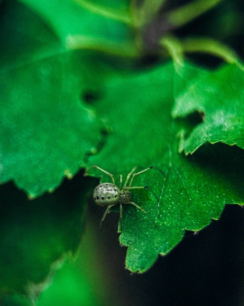 Фотография автора Юлия Осетрова