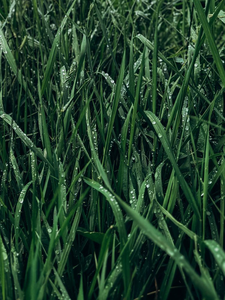 Фотография автора Юлия Осетрова