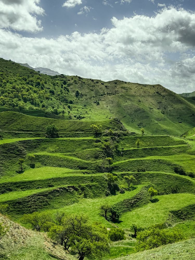 Фотография автора Юлия Осетрова