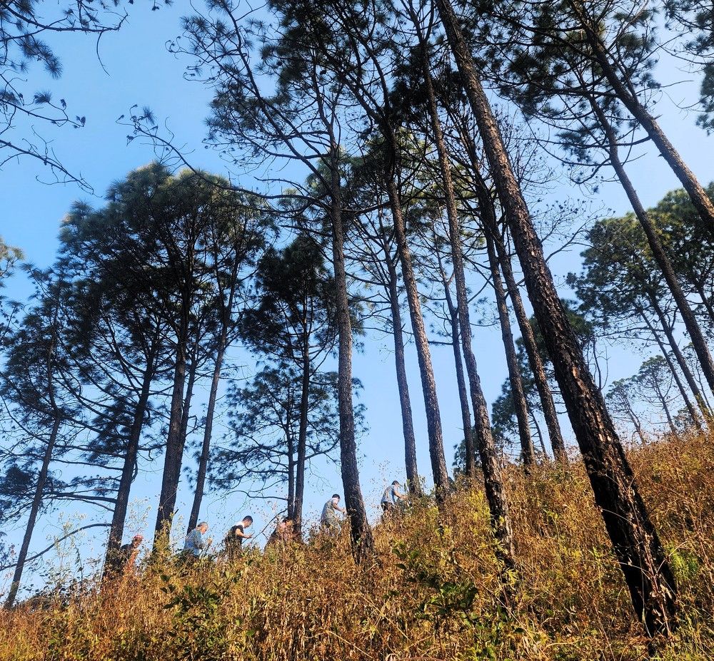 Photograph by G GOVIL