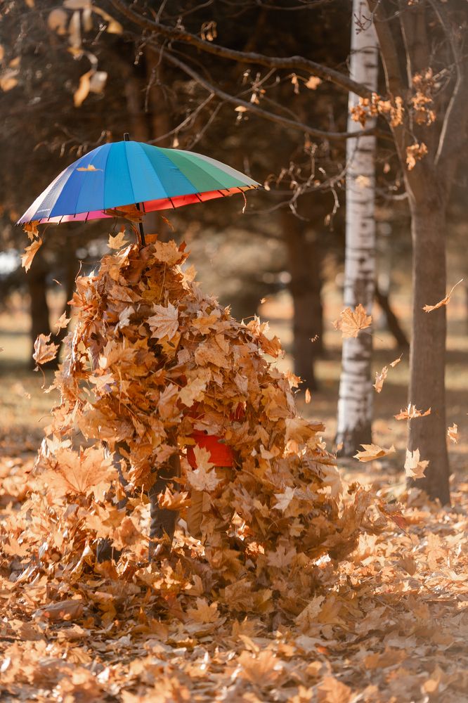 Фотография автора Станислава Гордеева