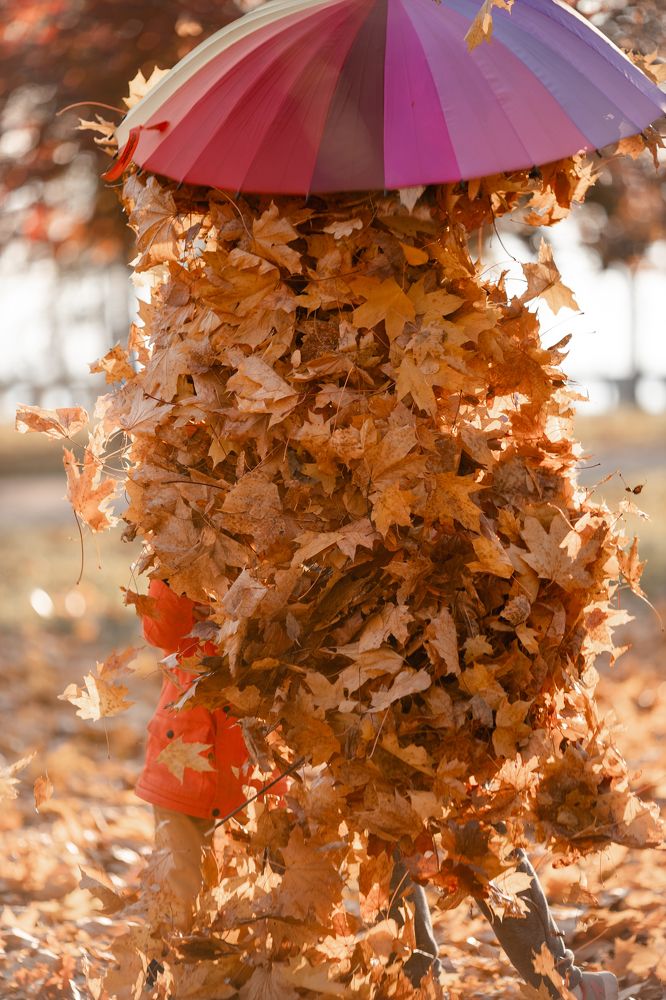 Фотография автора Станислава Гордеева