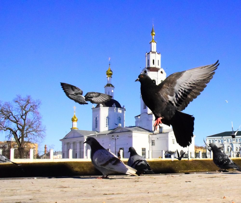 Photograph by Ольга Рыкова