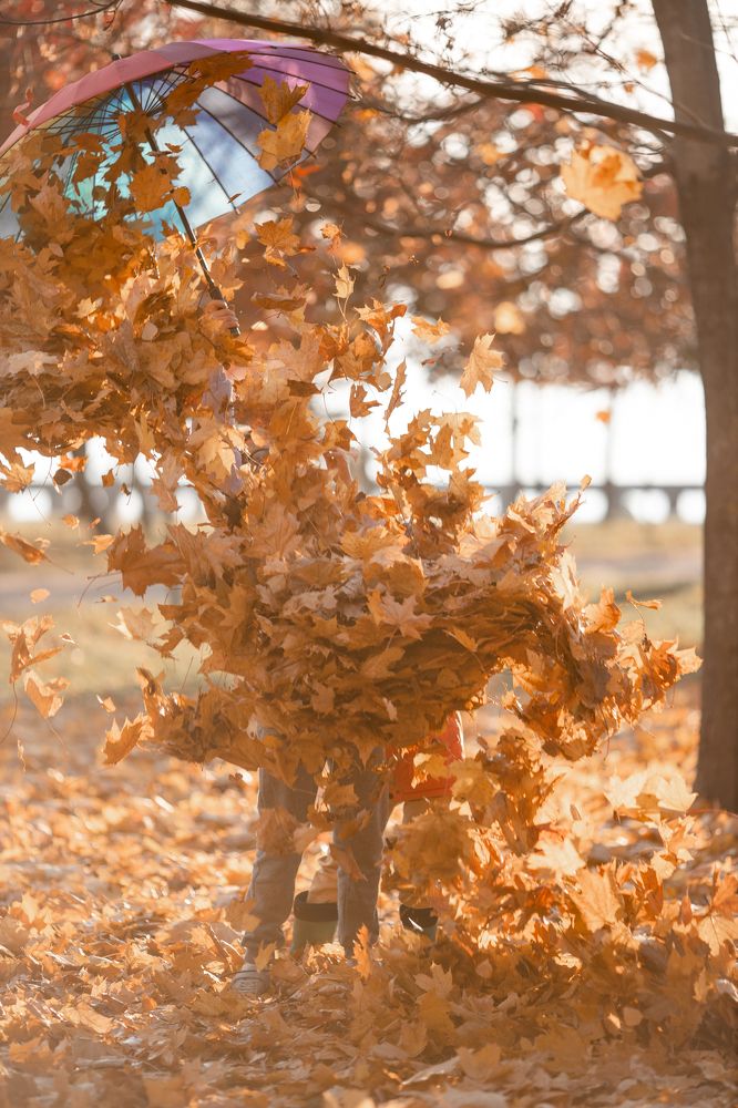 Фотография автора Станислава Гордеева