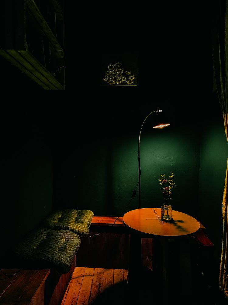 Фотография автора Алиса Исаева