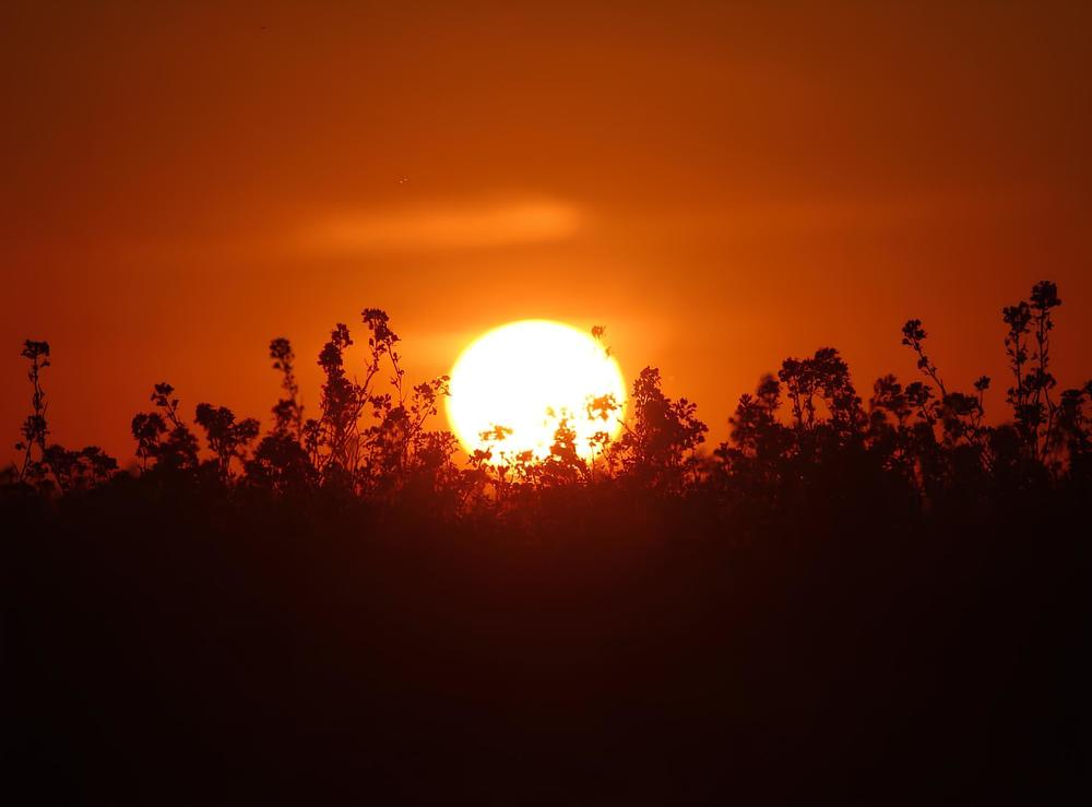 Photograph by Александр Чернов