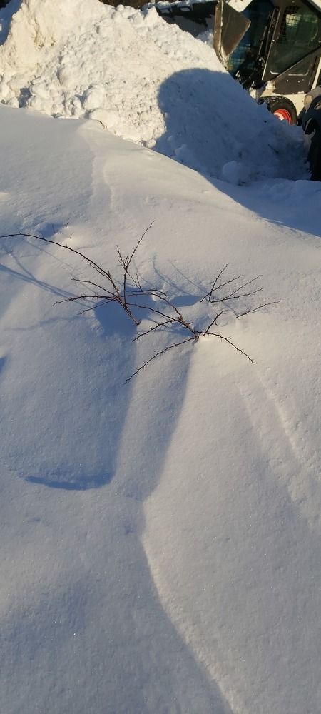 Photograph by Елена Немешаева