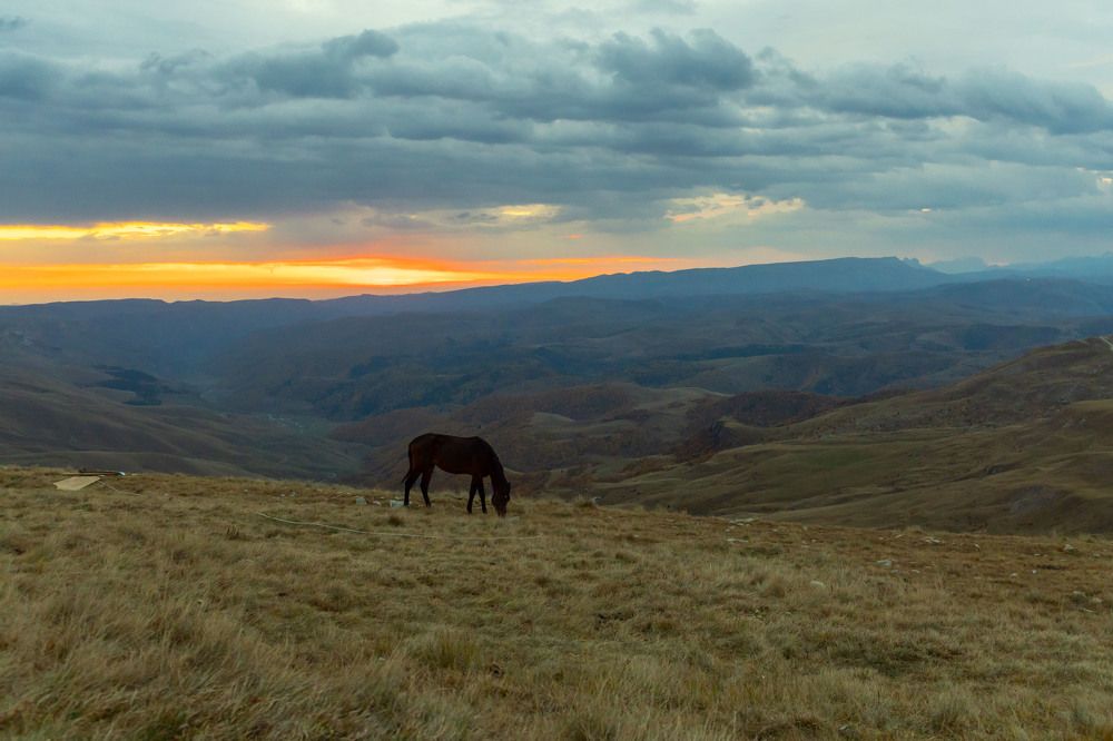 Photograph by Татьяна Тарунтаева