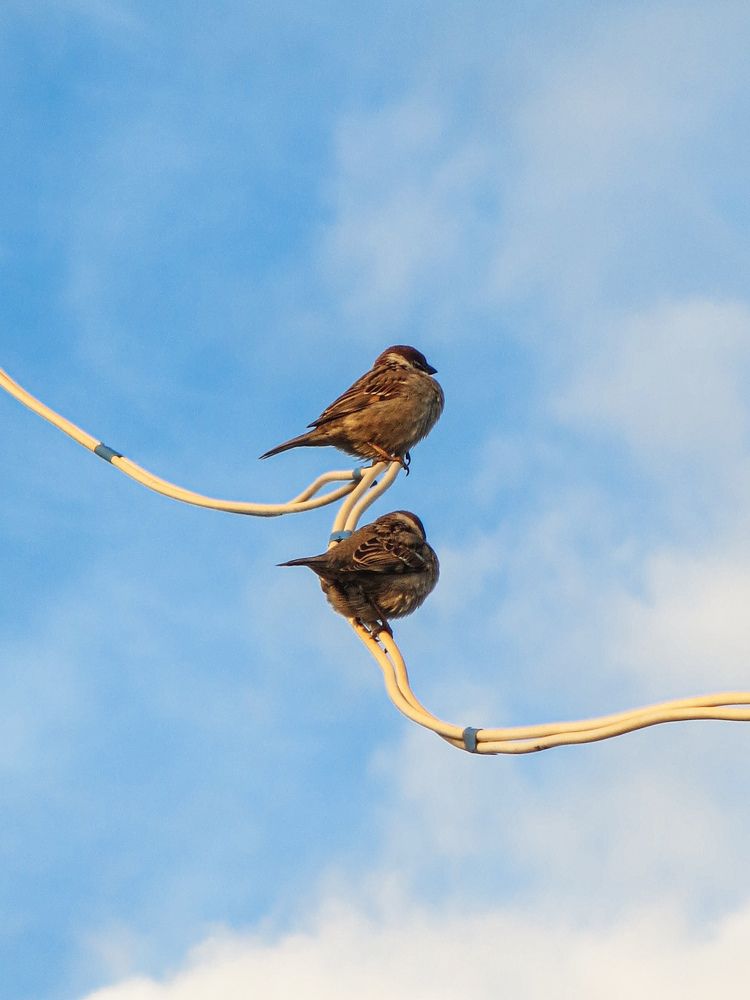Photograph by Дарья Овсянникова