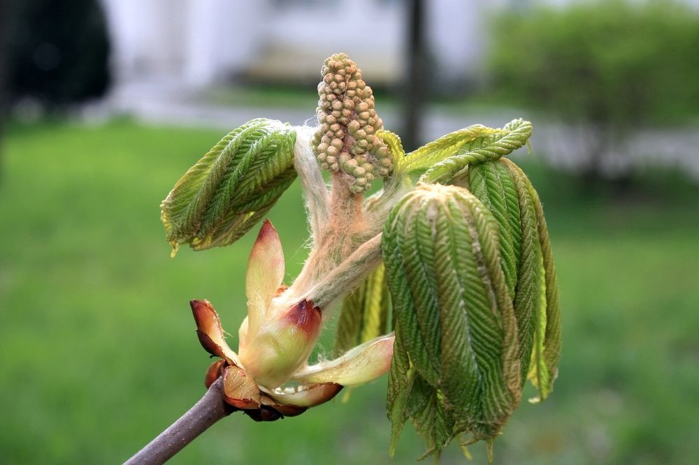 Photograph by Сергей Христинич