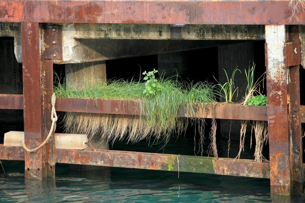 Photograph by Сергей Христинич