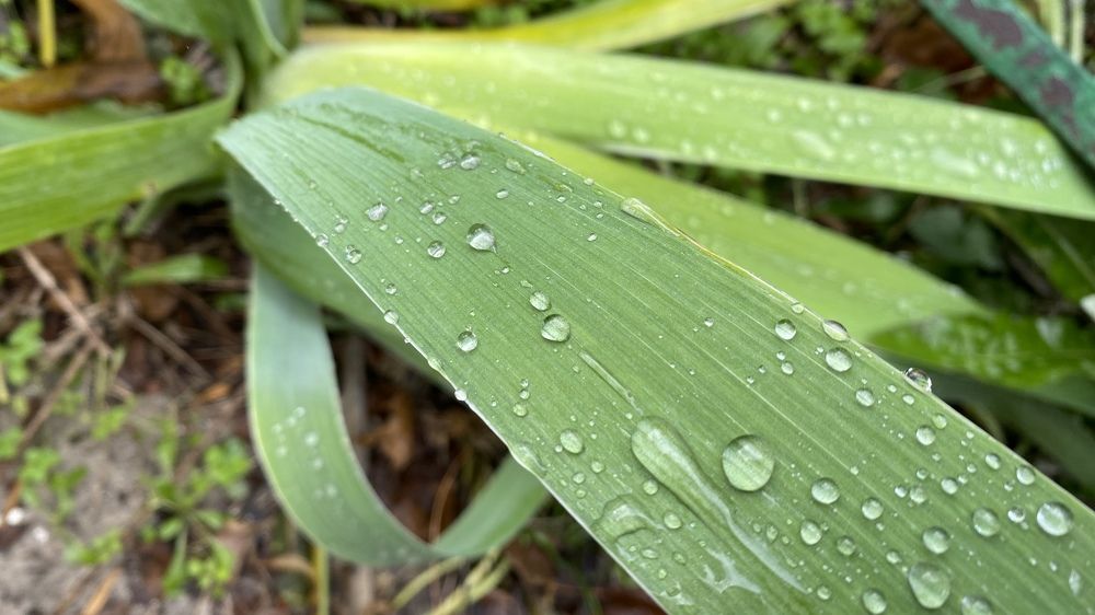 Photograph by Сергей Смирнов