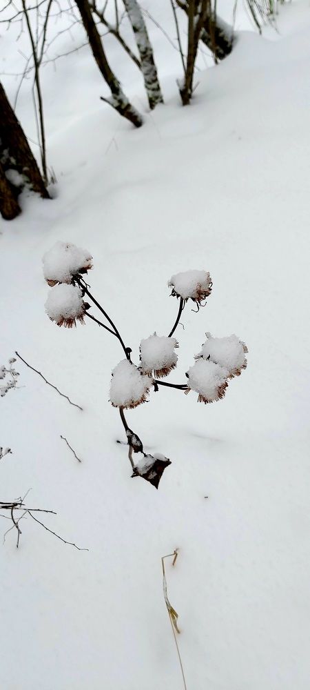 Photograph by Елена Немешаева